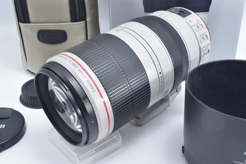 Canon 100 400mm - f/4.5-5.6, l