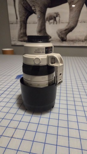 Canon 100 400 5 - 100-400, mm
