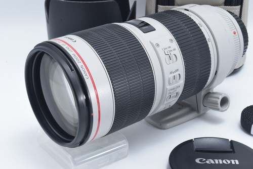 Canon 100 400mm 5 - 100-400mm, l