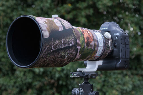Canon 400mm l è - ef, ii
